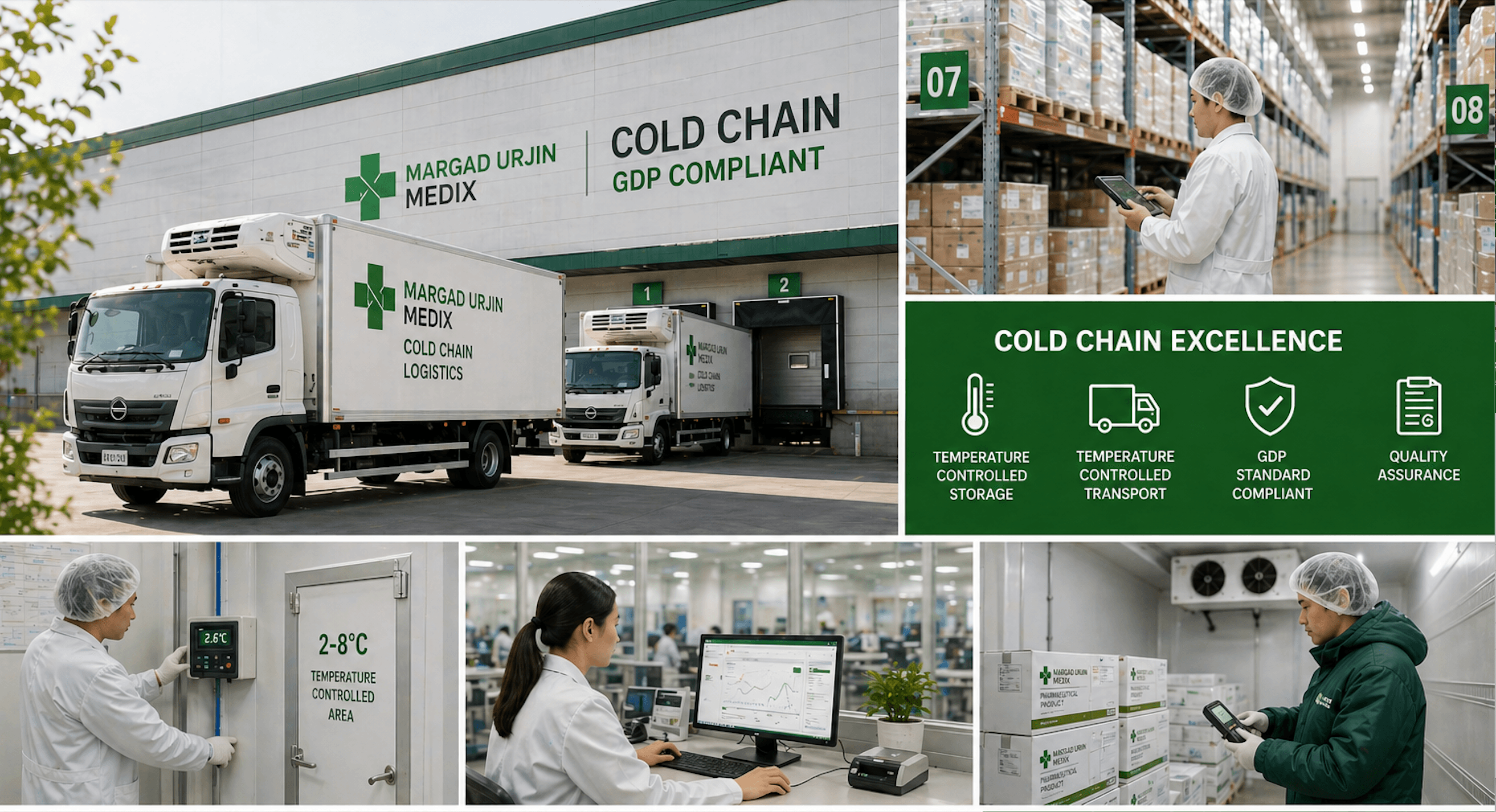 Cold chain and GDP-compliant logistics